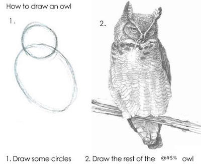 Illustration titled "How to draw an owl". Step 1 is just two circles. Step 2 is a complete owl.